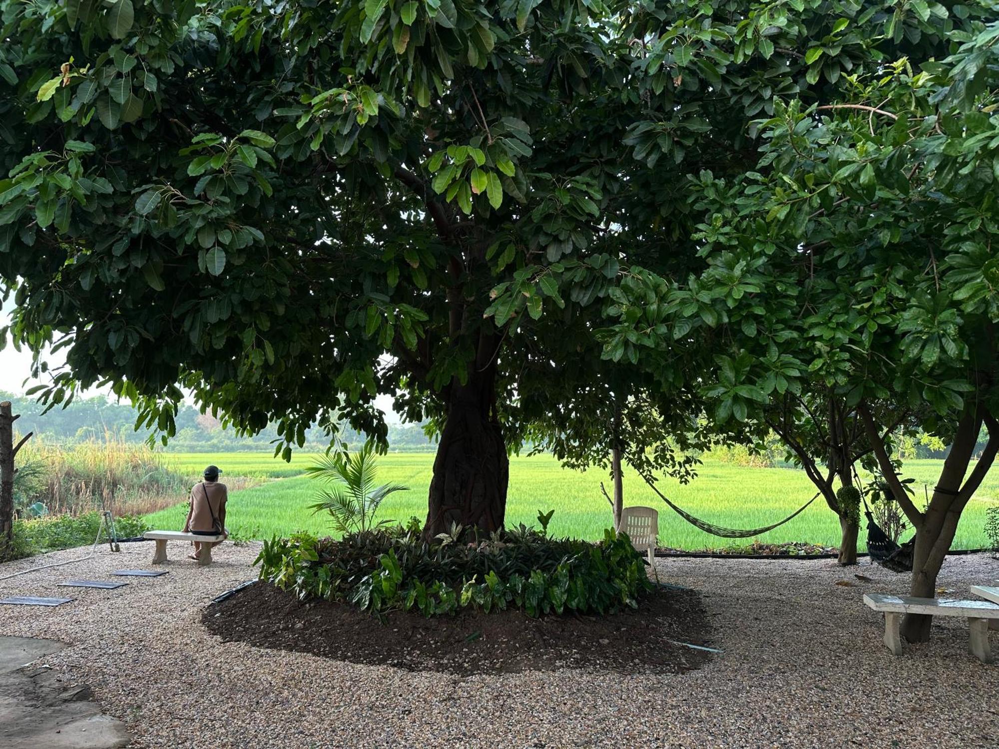 Ban Suweena Uthai Thani Bagian luar foto